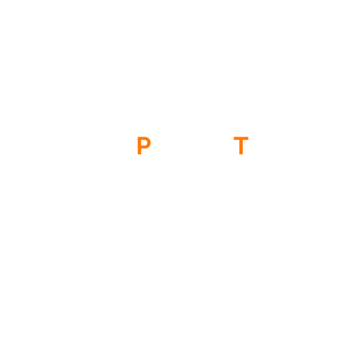 פרץ טורס - פתרונות תחבורה לוגו